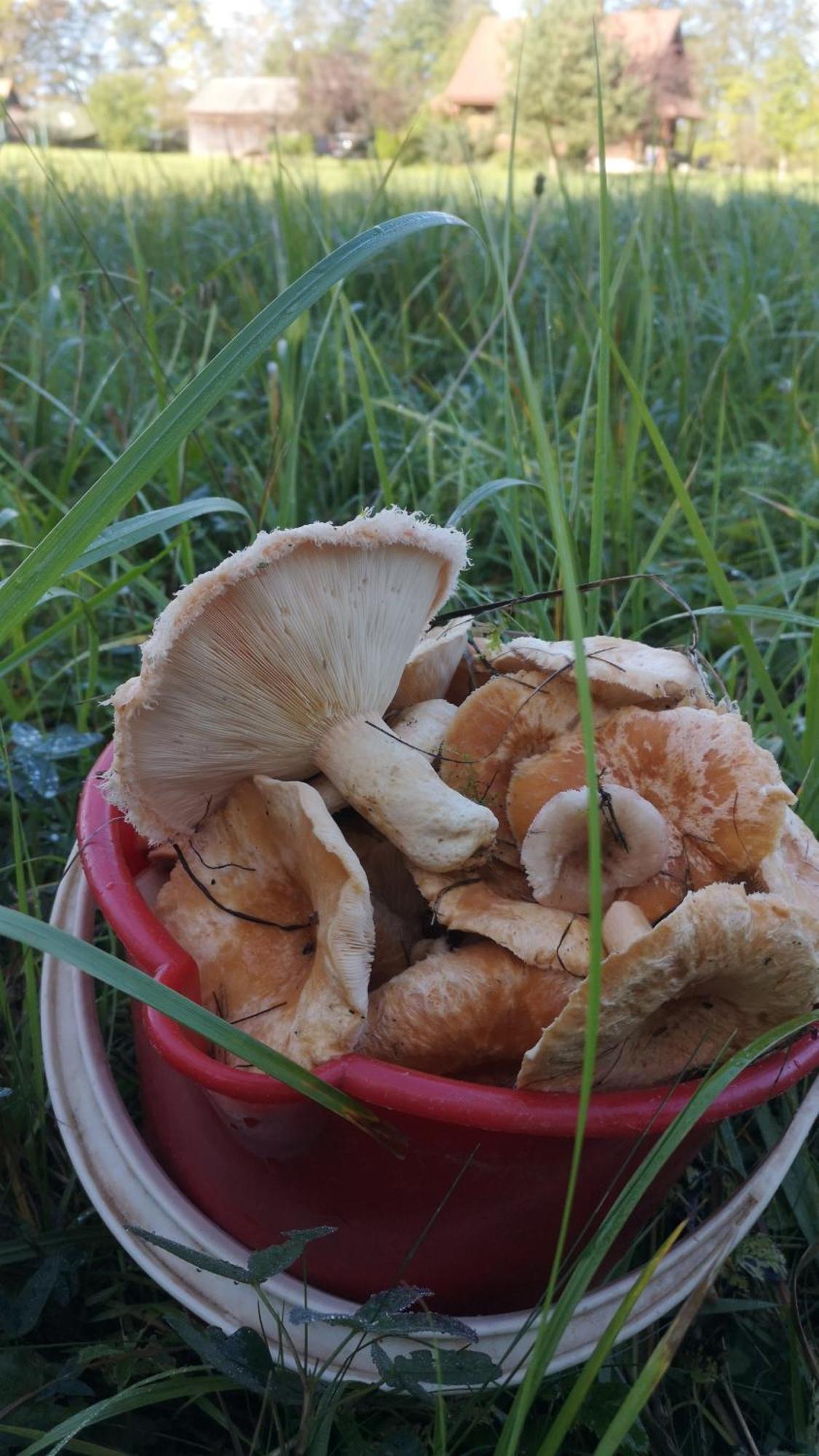 발비 Dvinumajas 빌라 외부 사진